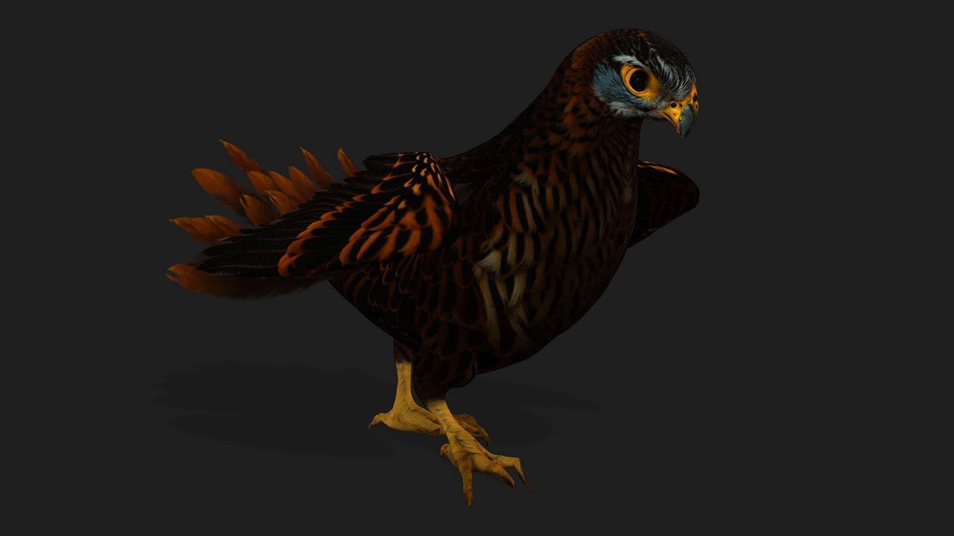 Kestrel B9 Low-poly 3D model_12