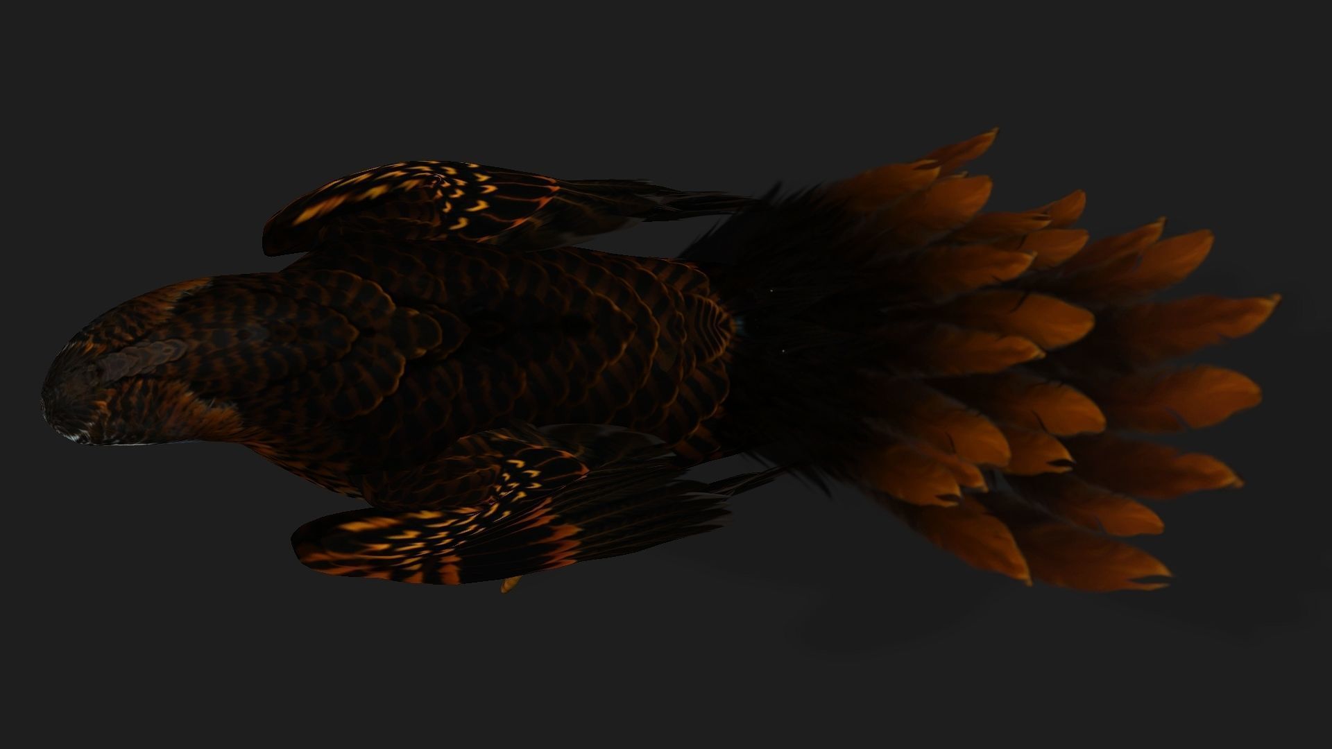 Kestrel B9 Low-poly 3D model_4