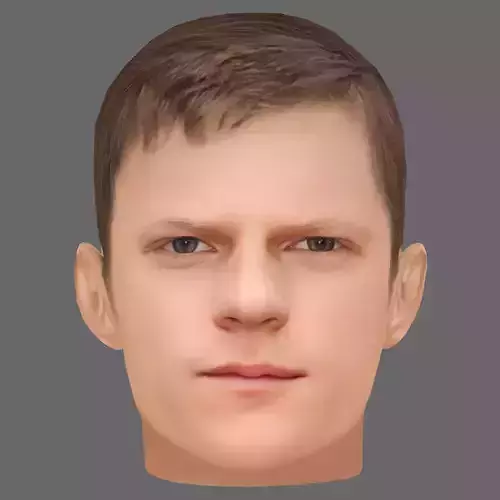 Lucas Hedges Head - Low poly head for game Low-poly