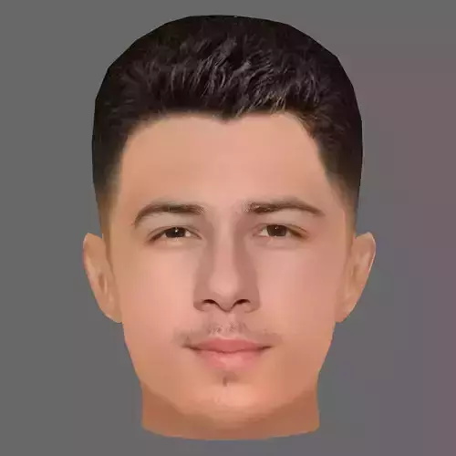 Nick Jonas Head - Low poly head for game Low-poly
