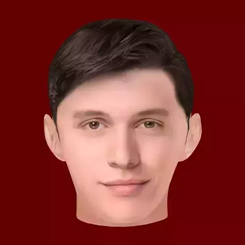 Nick Robinson Head - Low poly head for game Low-poly Low-poly 3D model
