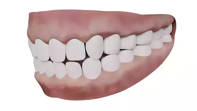 Teeth