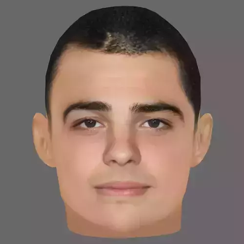 Noah Centineo Head - Low poly head for game Low-poly