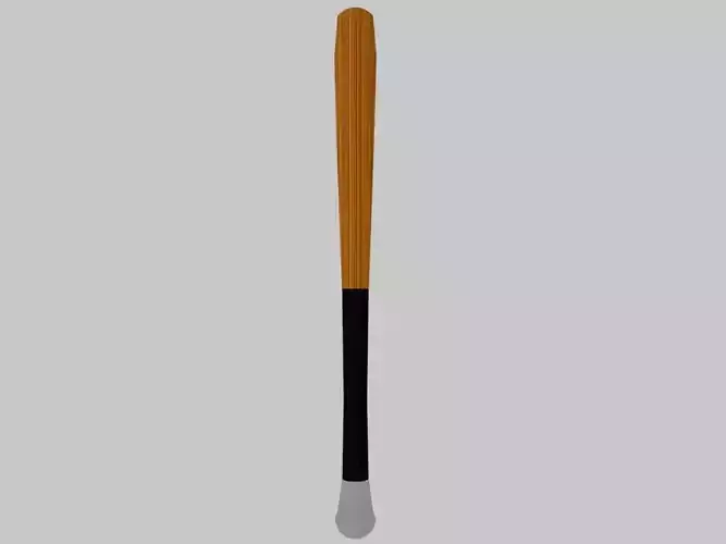 Baseball Bat