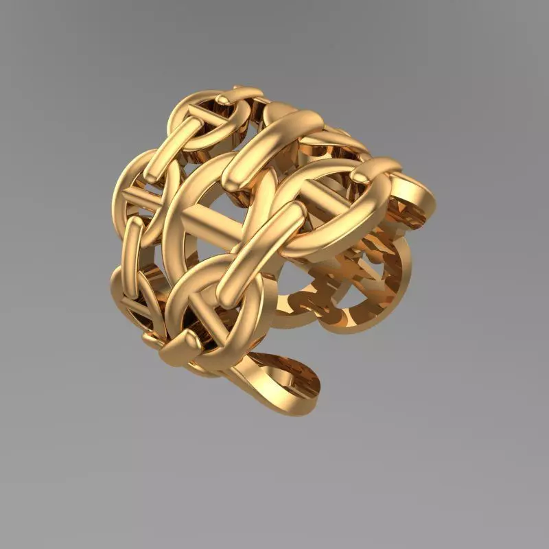 Chain Ring 3D print model_0