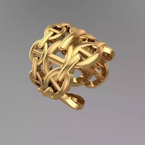 Chain Ring