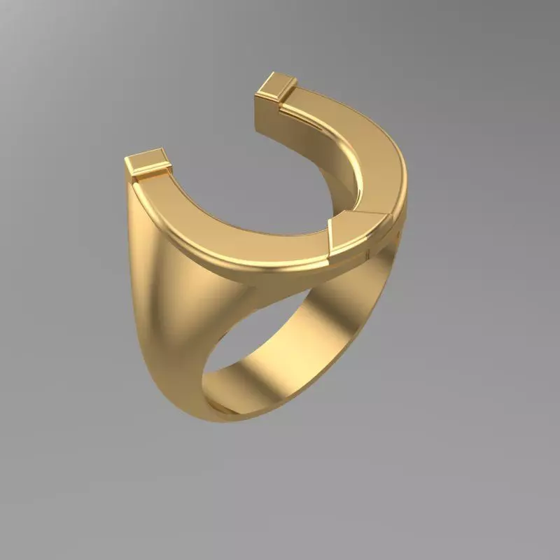 3D Horse Shoe Ring Design 3D print model