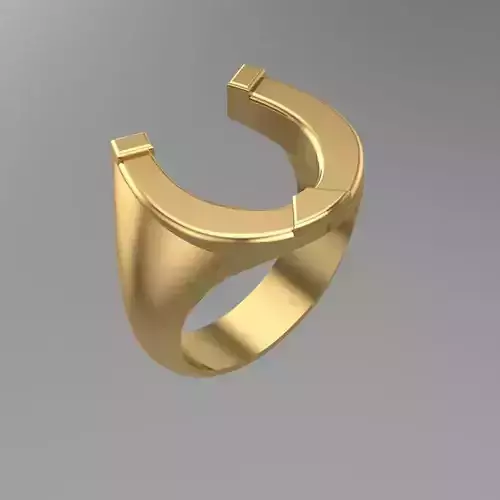 3D Horse Shoe Ring Design