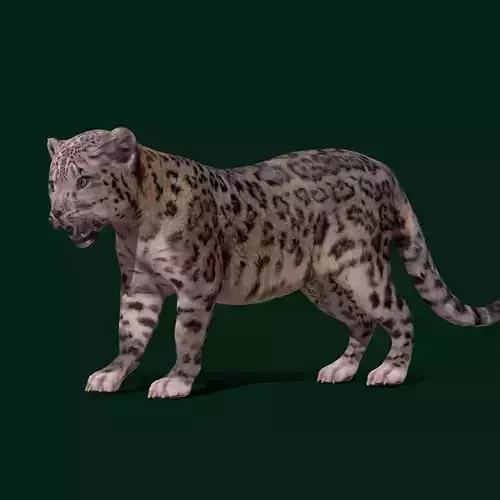 Snow Leopard Cub Low-poly 3D model