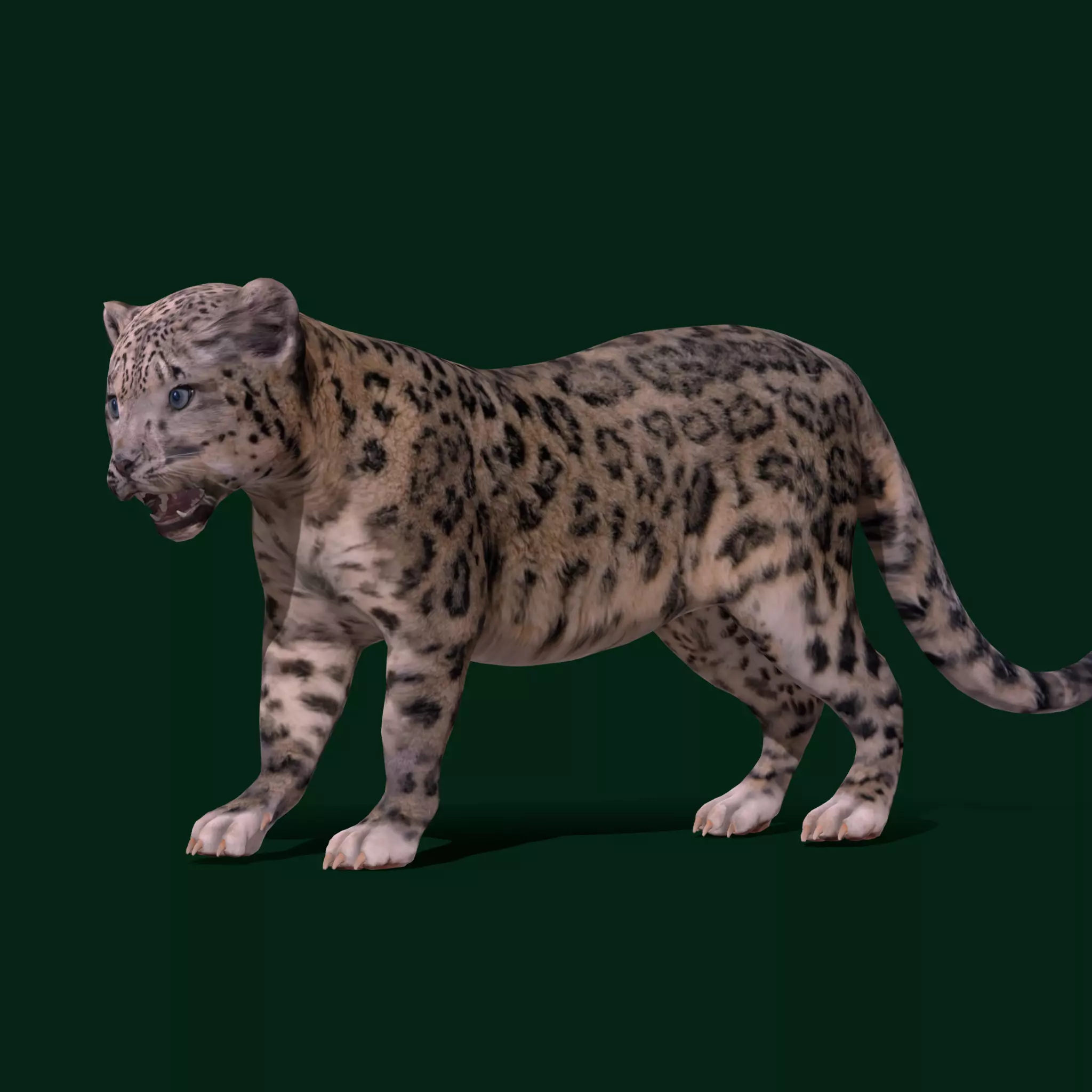 Snow Leopard Cub Low-poly 3D model