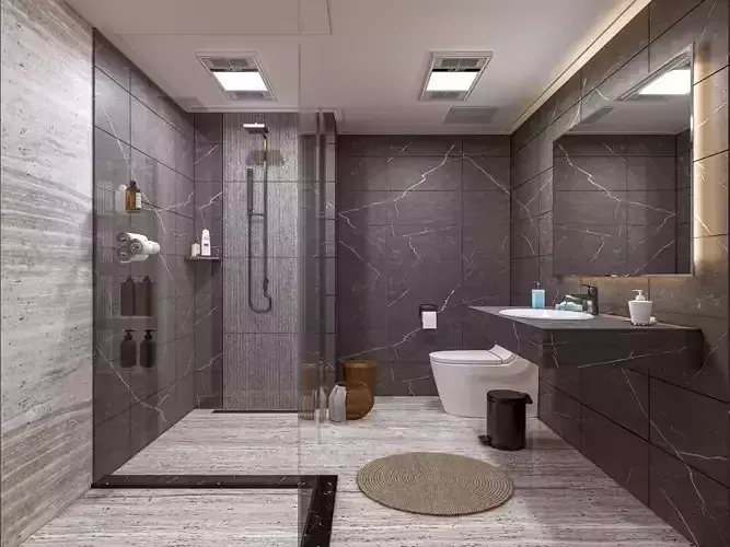 Bathroom 55 3D model