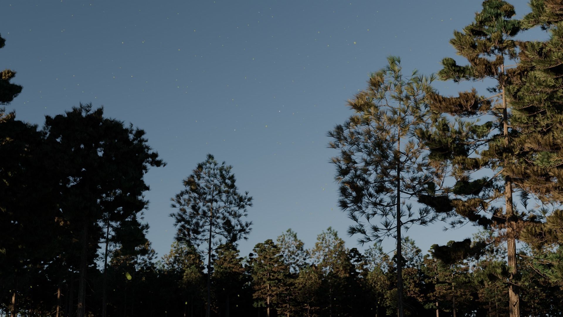 Lake in the forest 3D model_3