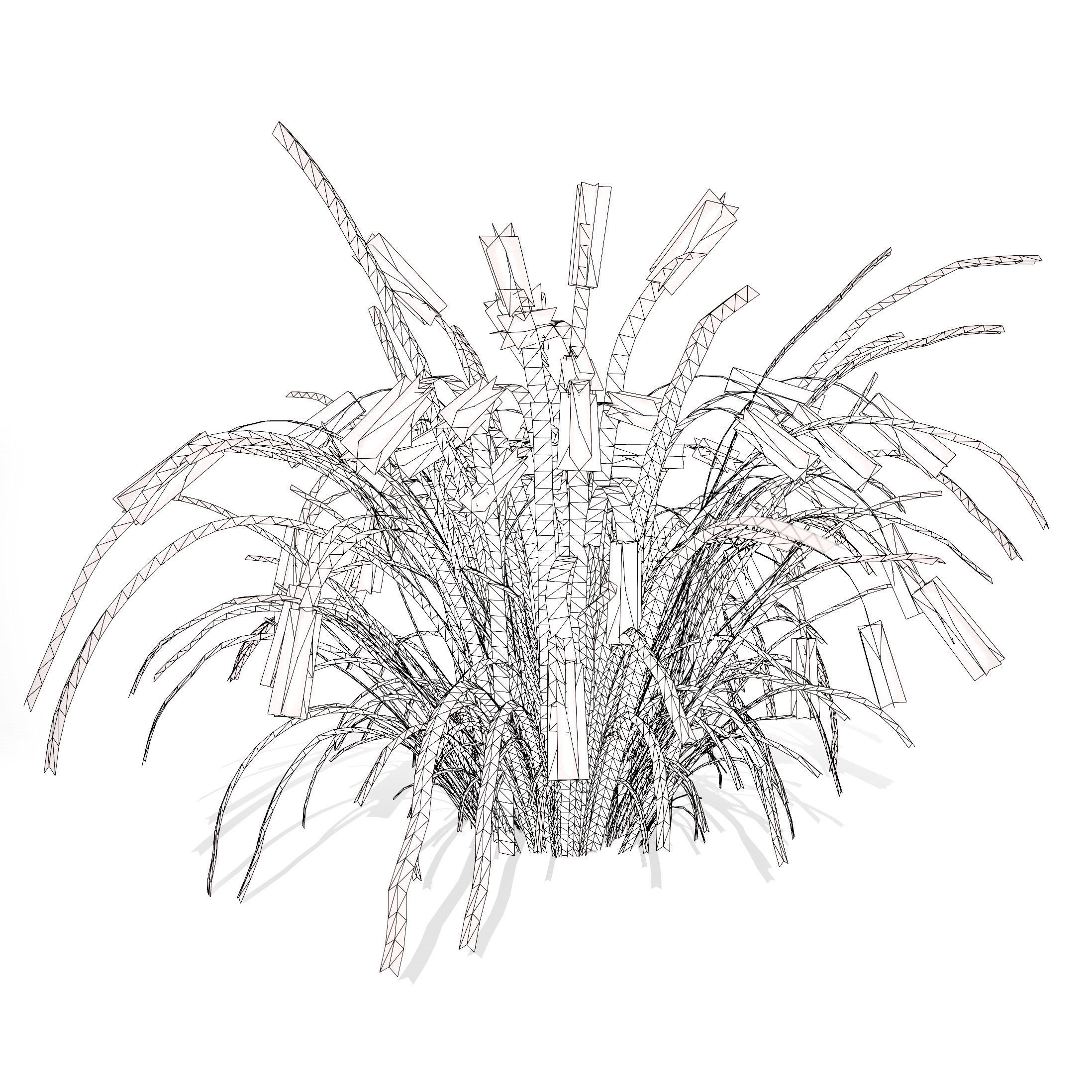 Purple Fountain Grass Low-poly 3D model_12