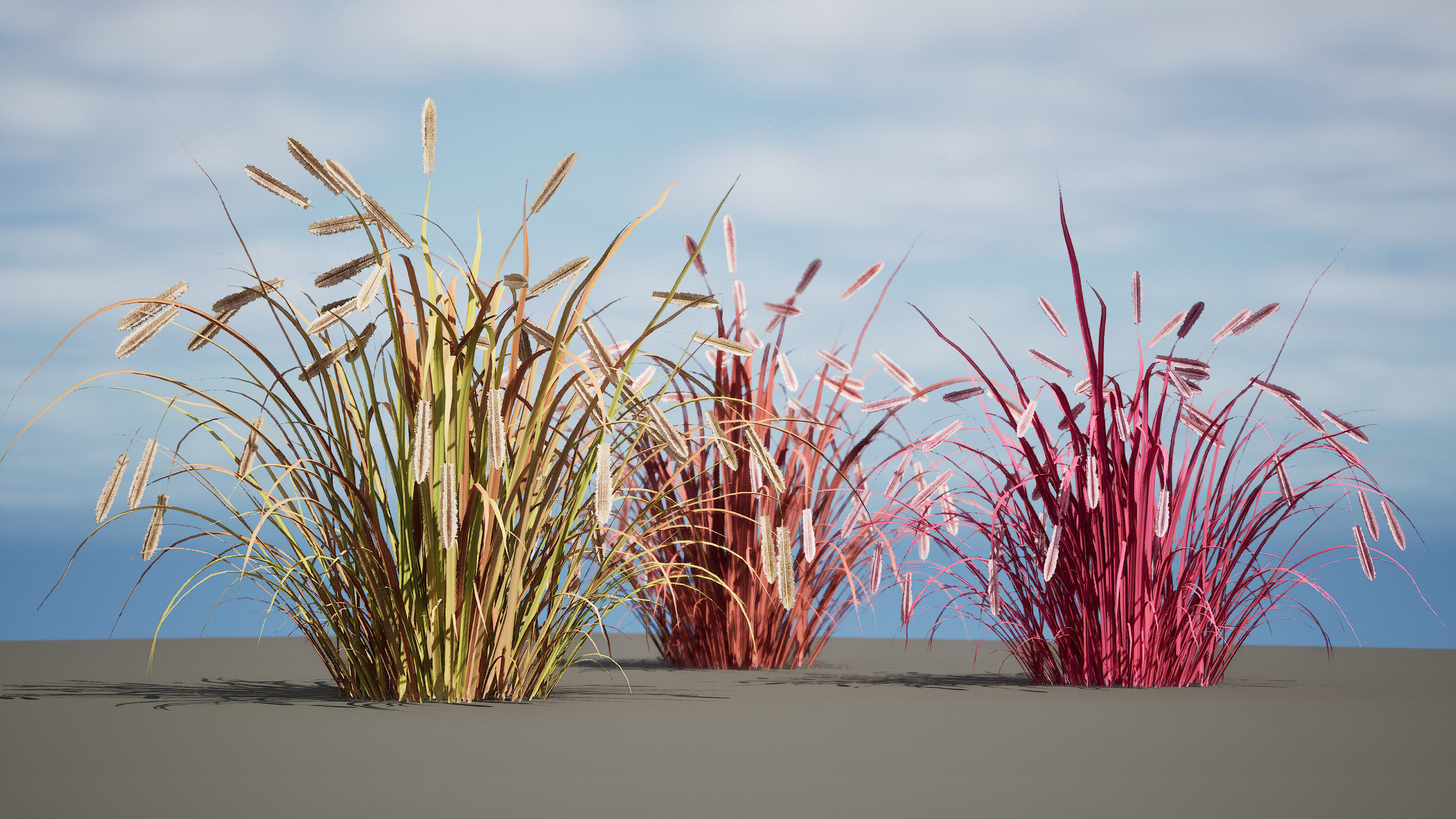 Purple Fountain Grass Low-poly 3D model_4