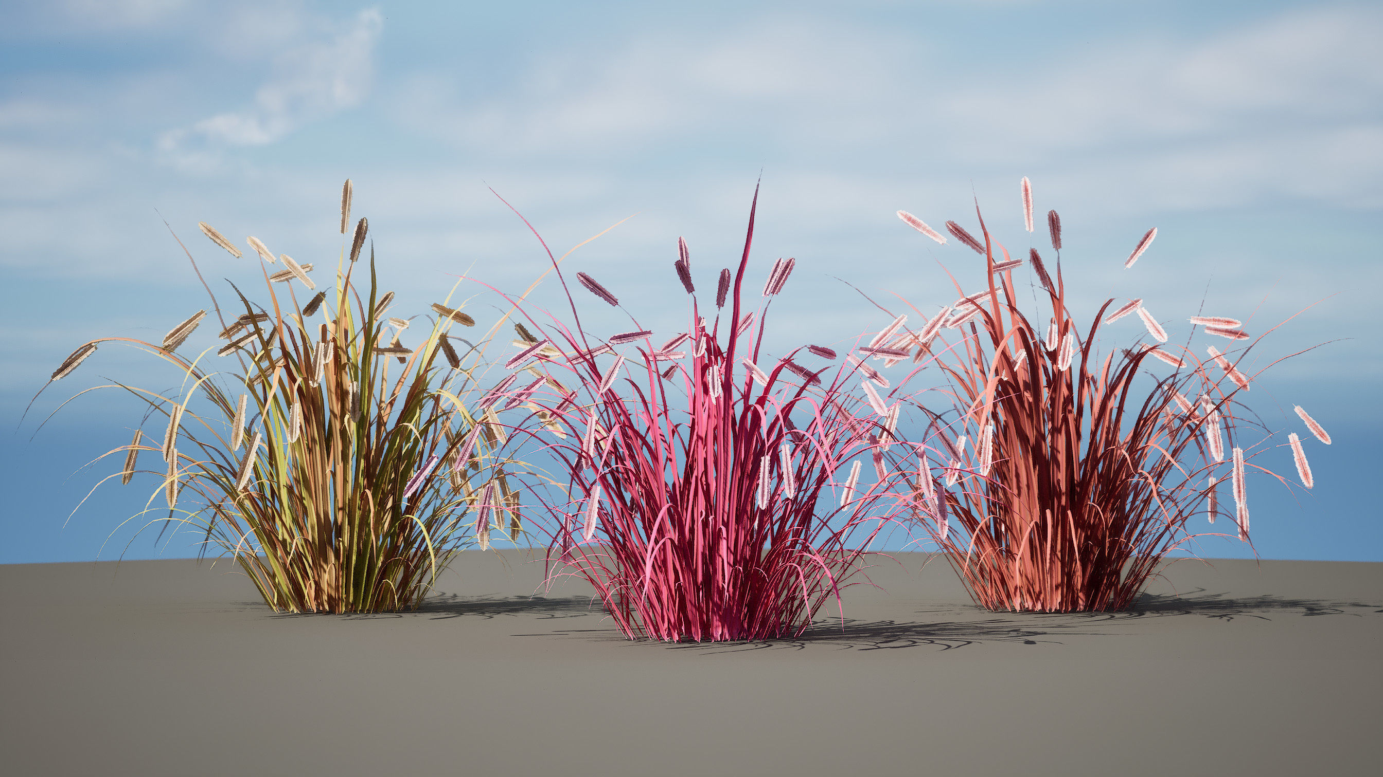 Purple Fountain Grass Low-poly 3D model_3