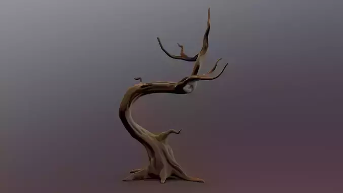 Bonzai Tree 3D model