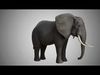 Animal Elephant Low-poly 3D model_1