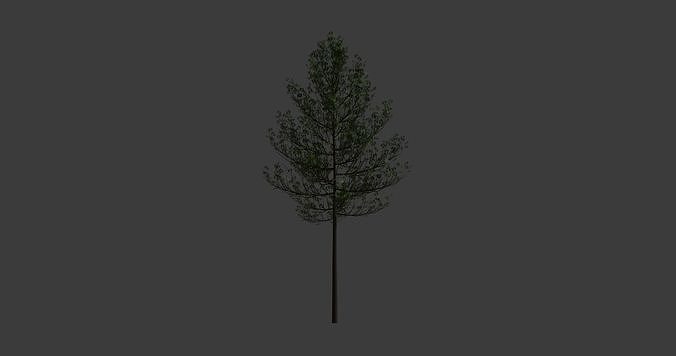 Exquisite High-Resolution Tree Model for Realistic Environments Low-poly 3D model