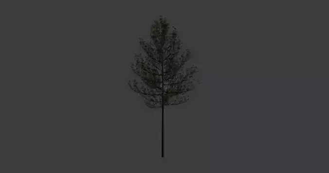 Exquisite High-Resolution Tree Model for Realistic Environments
