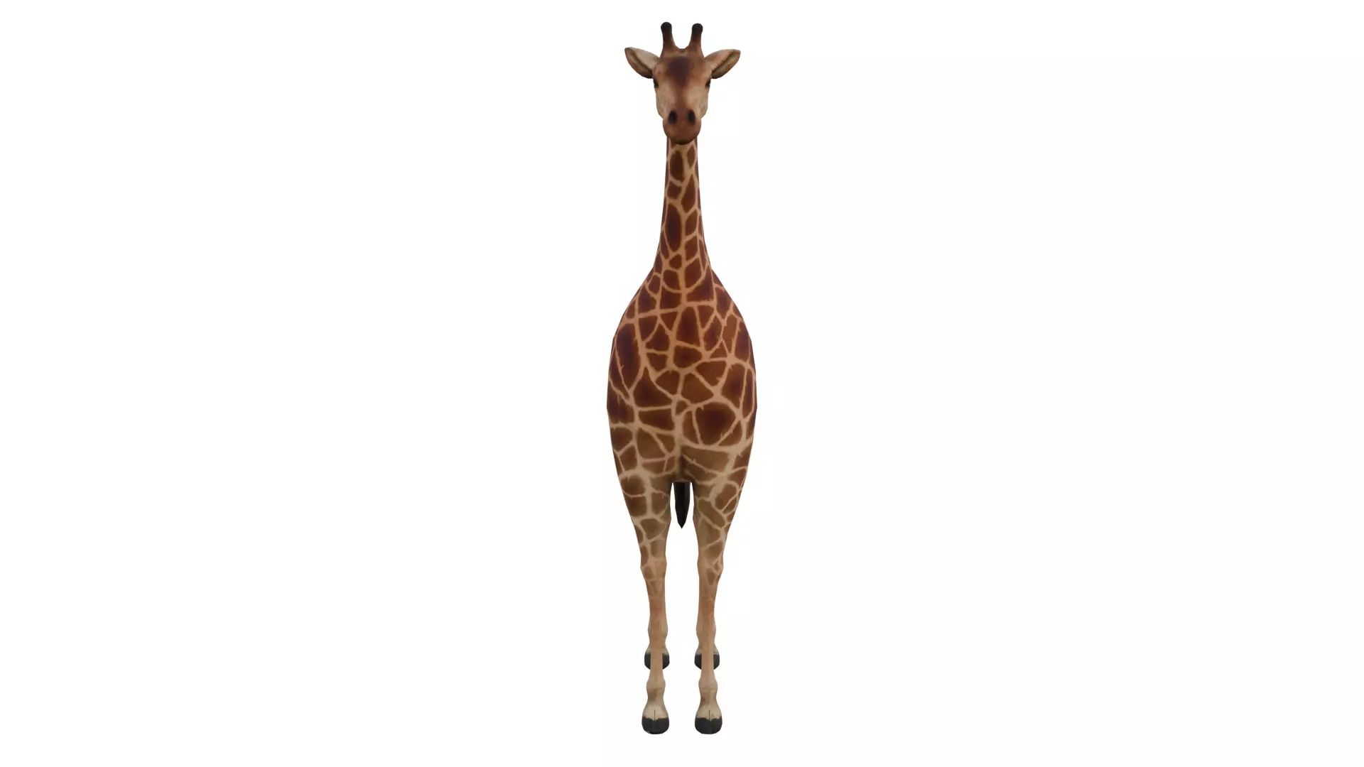 Animal Giraffe Low-poly 3D model_0