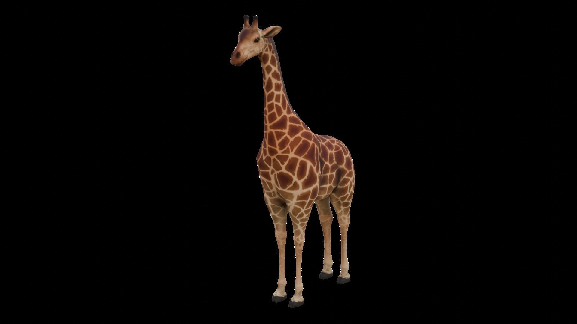 Animal Giraffe Low-poly 3D model_3
