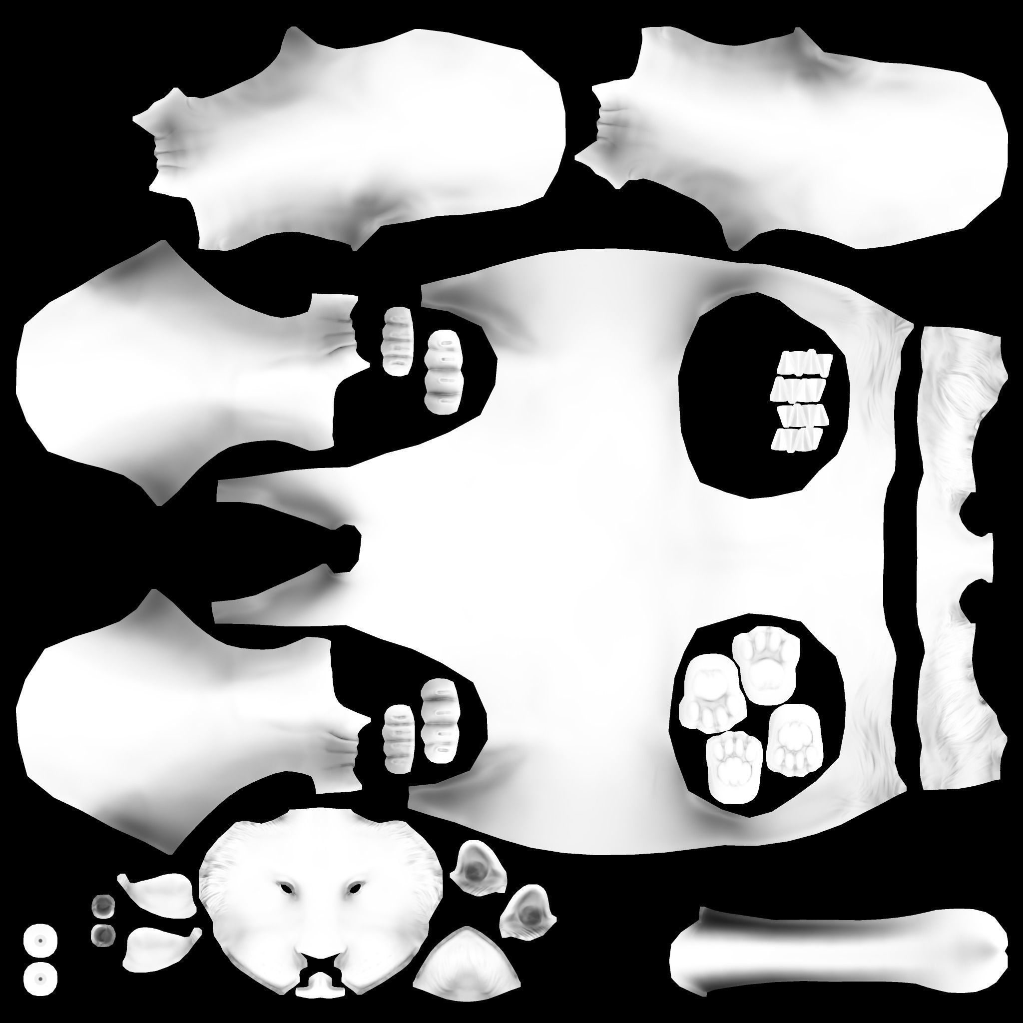 Animal Tiger Low-poly 3D model_12