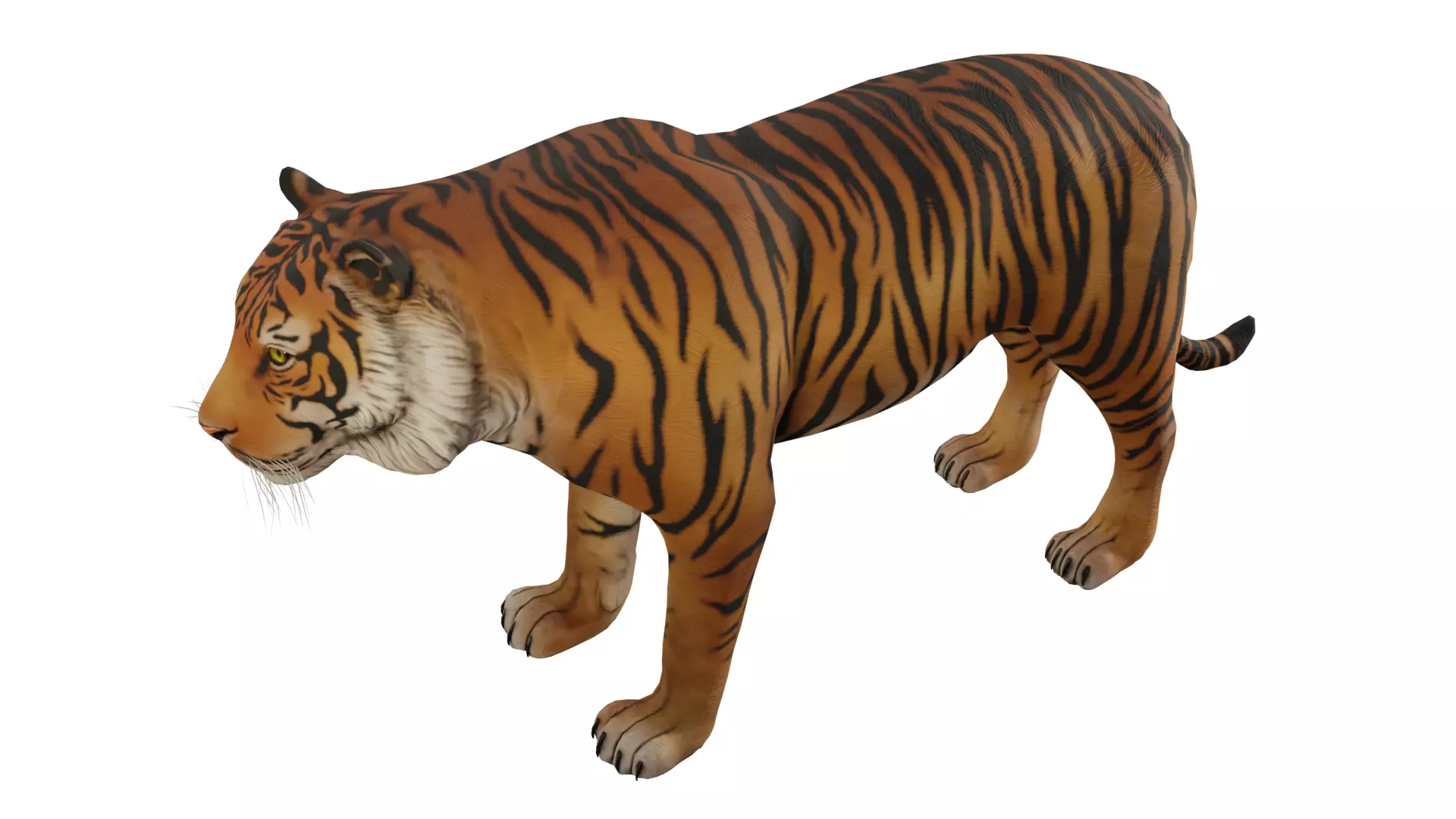 Animal Tiger Low-poly 3D model_0