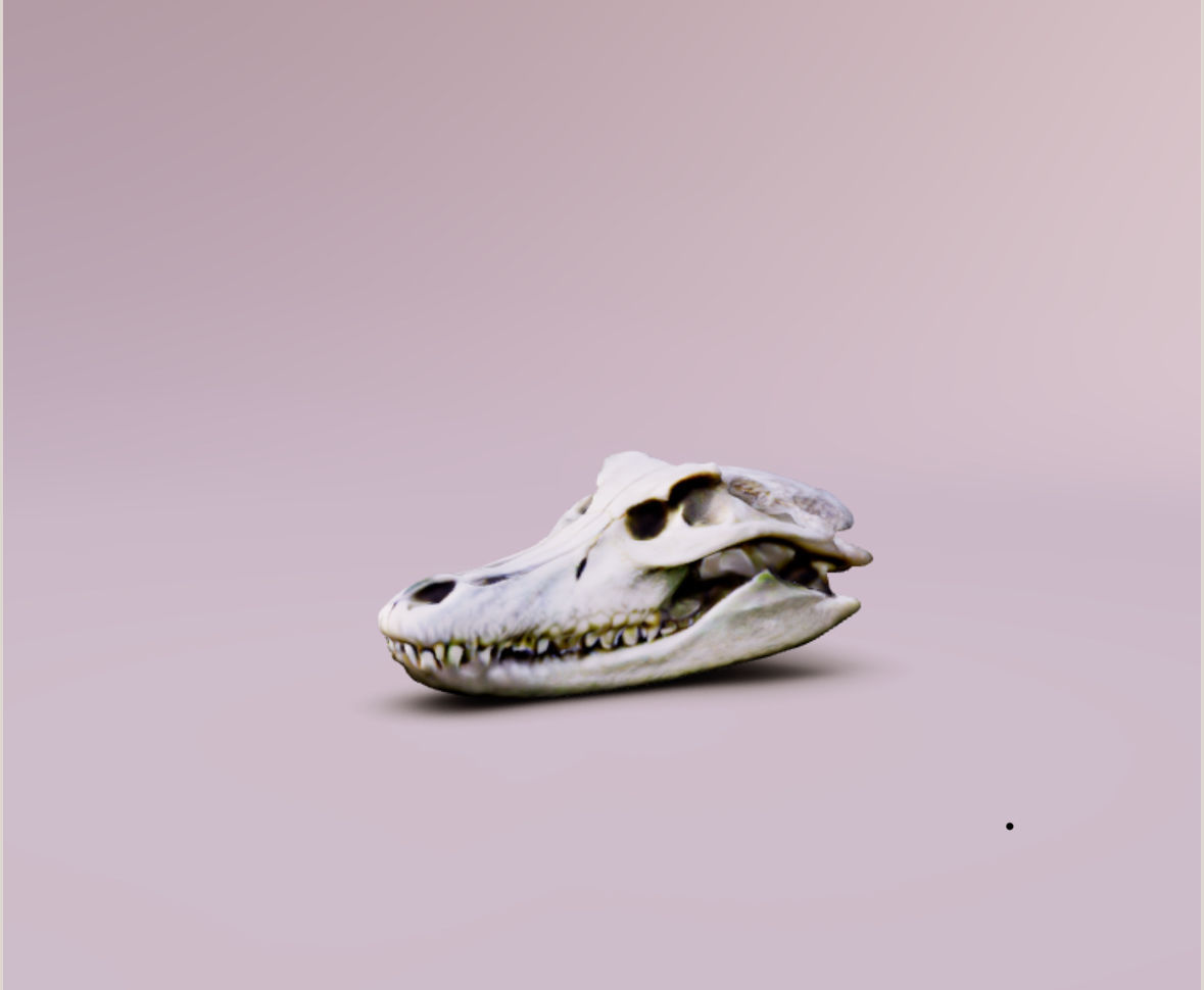 Human Dog Trex Alligator Skull All Together 3D print model_7
