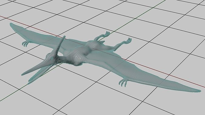 Pteranodon Low-poly 3D model