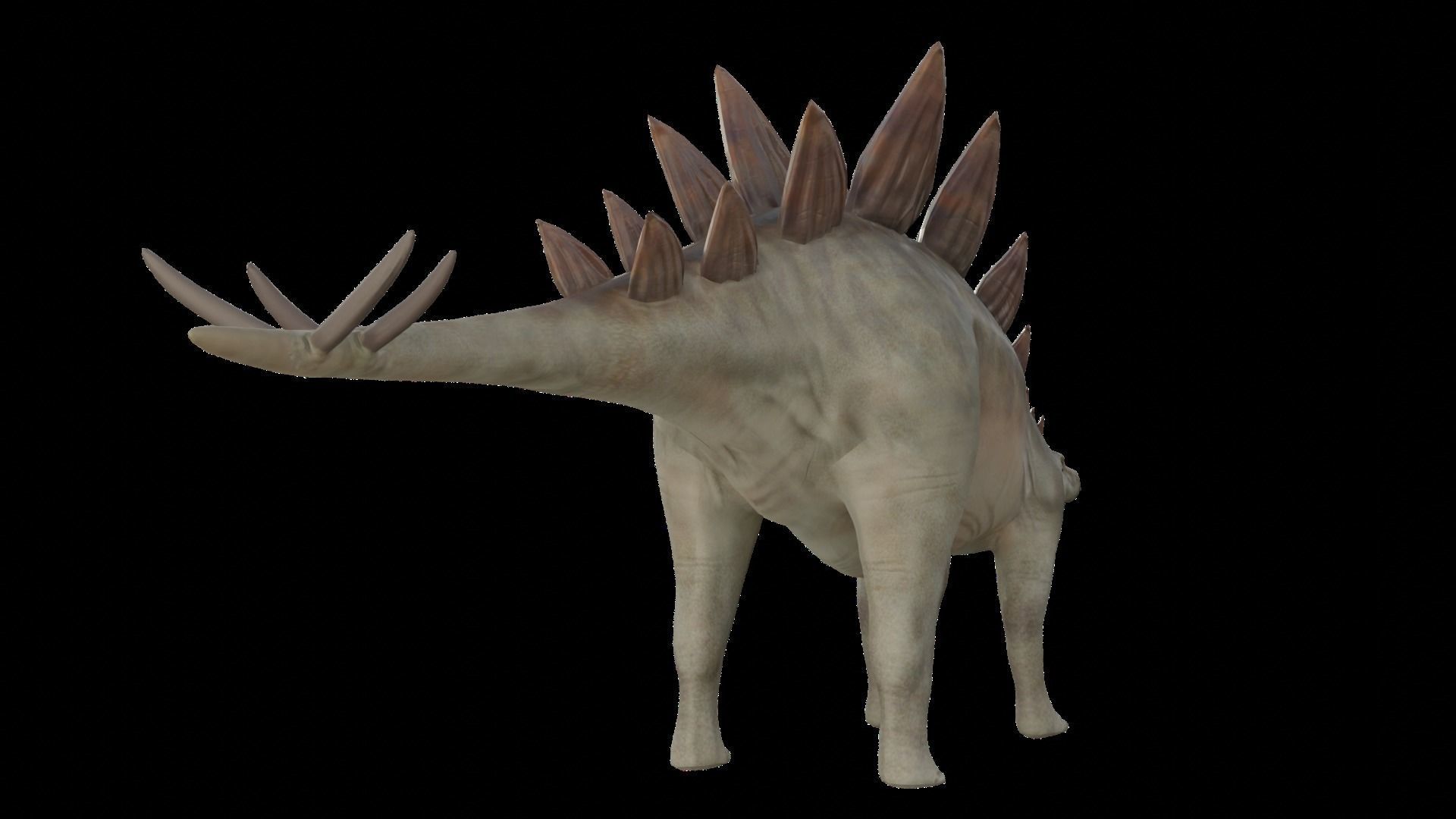 Stegosaurus Low-poly 3D model_3