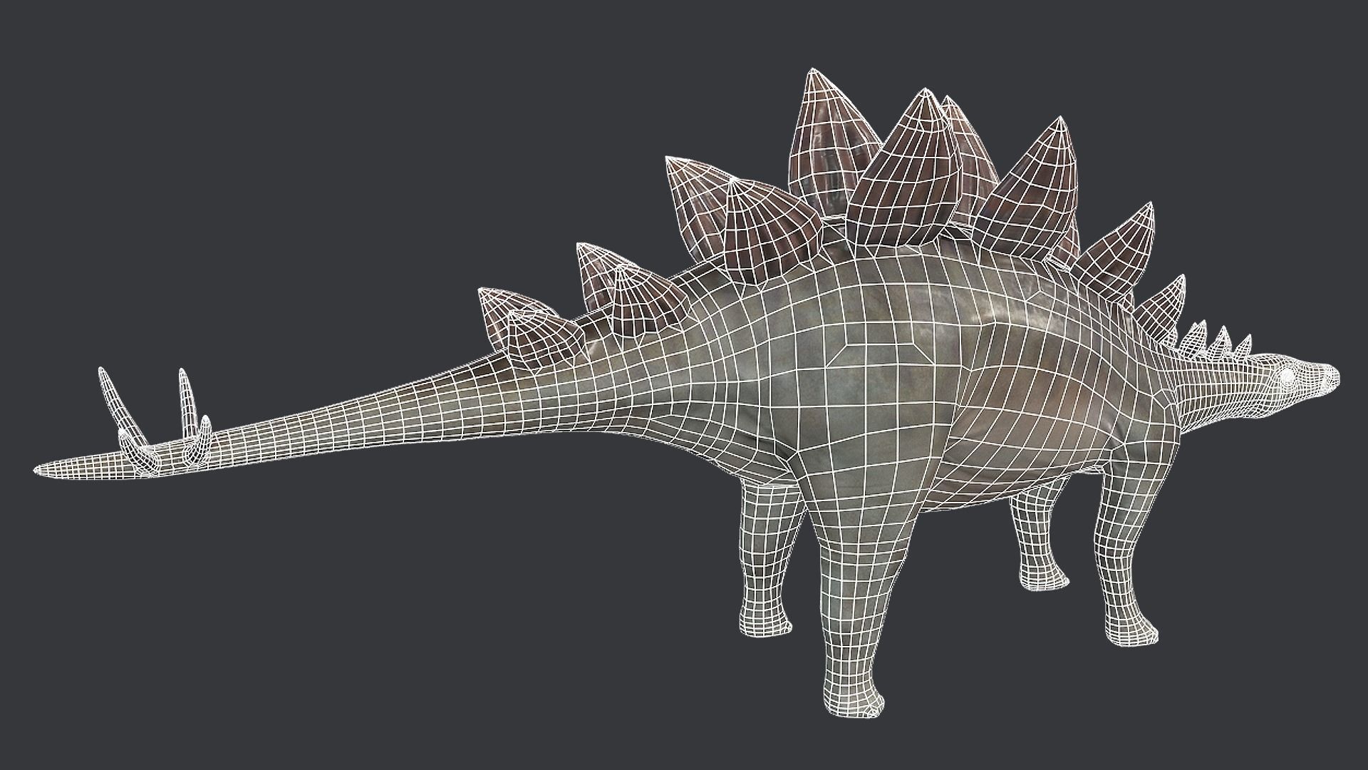 Stegosaurus Low-poly 3D model_9