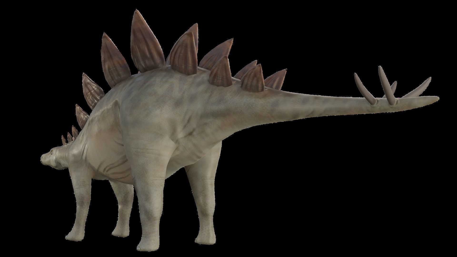 Stegosaurus Low-poly 3D model_2