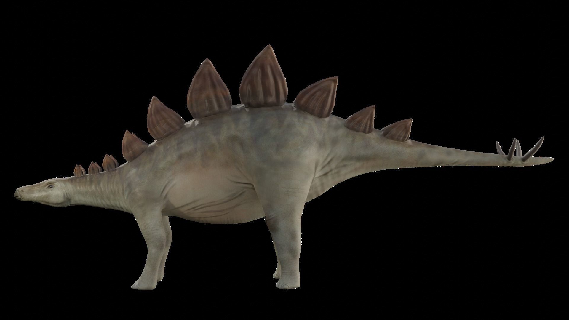 Stegosaurus Low-poly 3D model_1