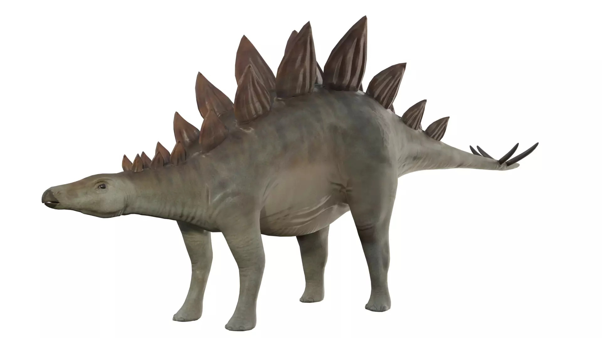 Stegosaurus Low-poly 3D model_0