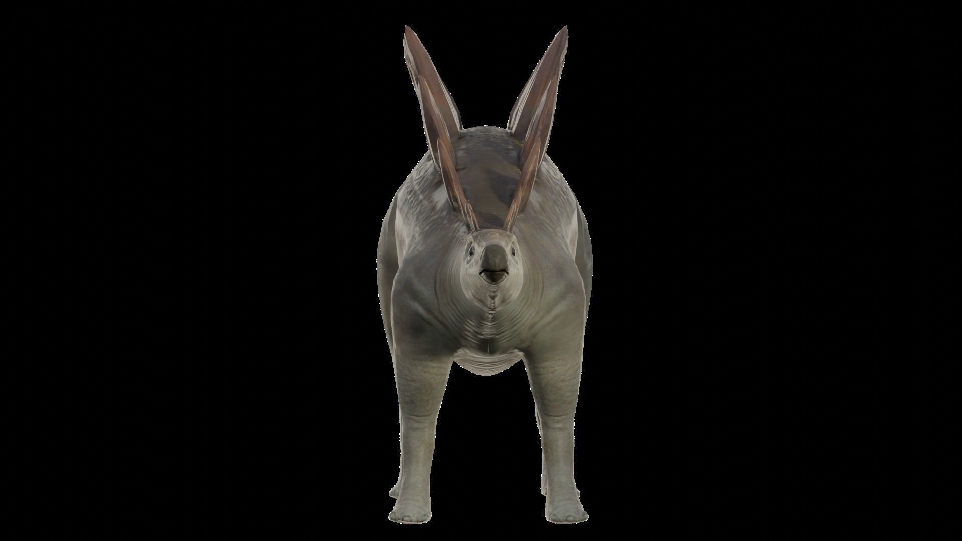 Stegosaurus Low-poly 3D model_6