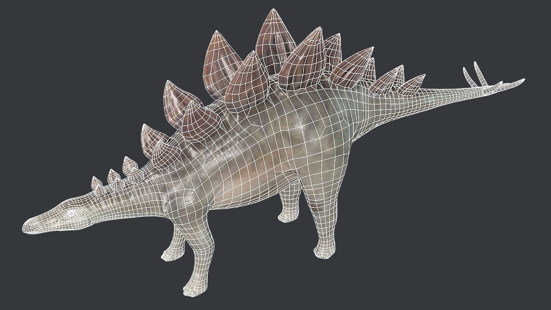 Stegosaurus Low-poly 3D model_10