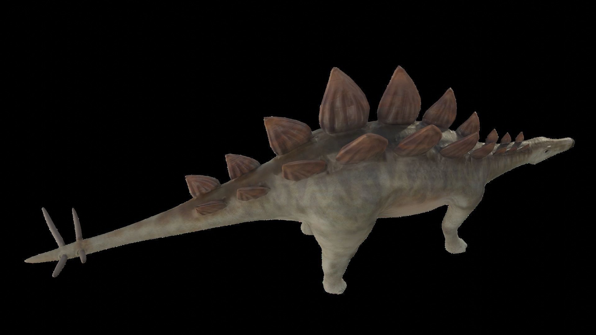 Stegosaurus Low-poly 3D model_7