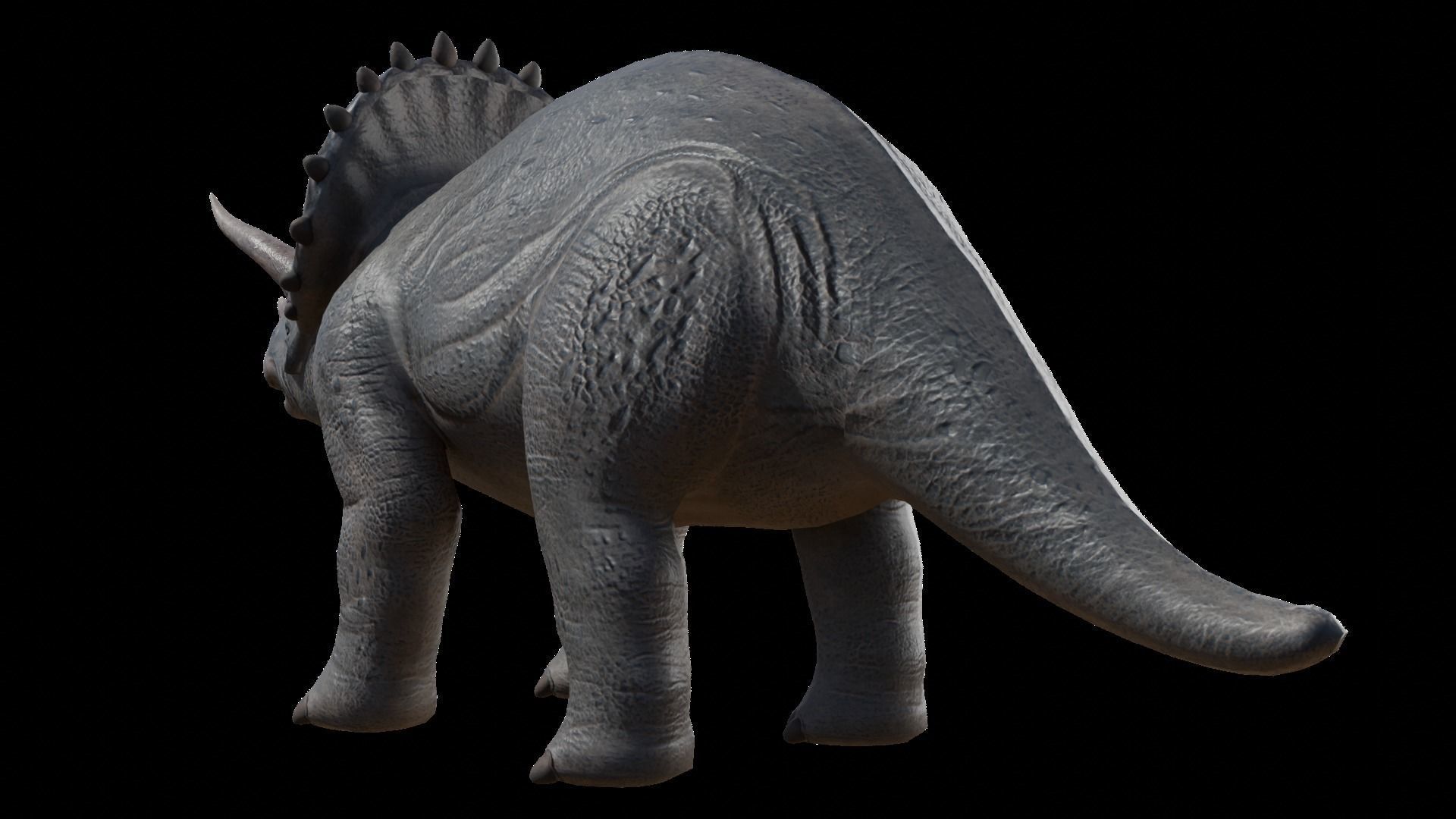 Triceratops Low-poly 3D model_3