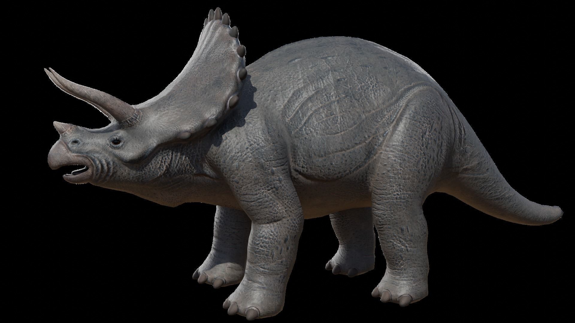Triceratops Low-poly 3D model_4