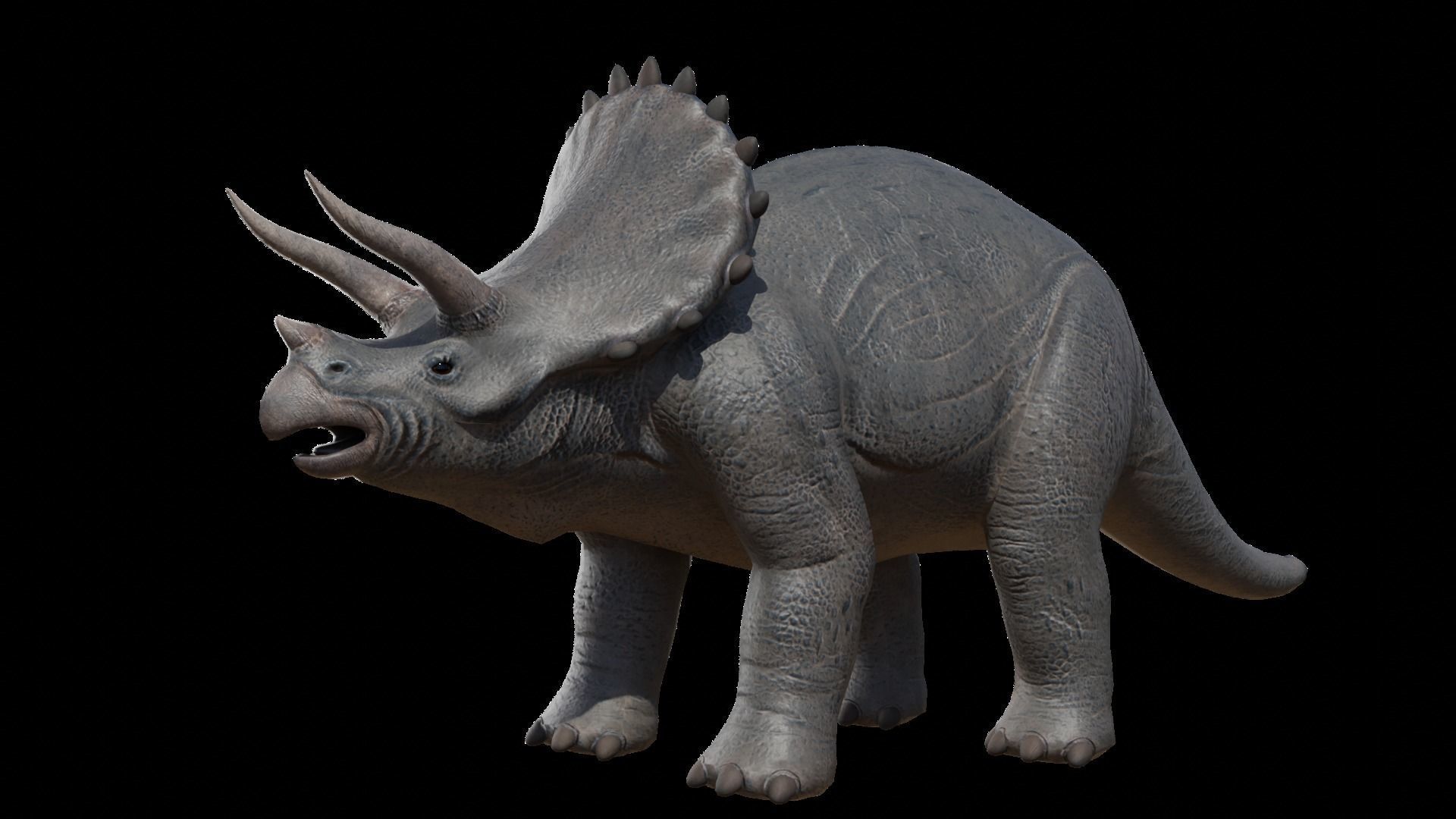 Triceratops Low-poly 3D model_2