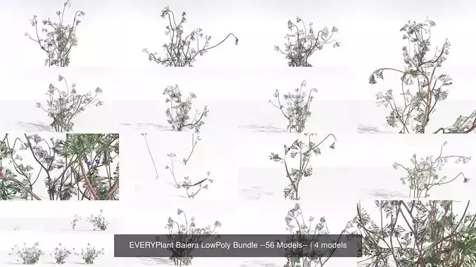EVERYPlant Baiera LowPoly Bundle --56 Models-- 3D Model Collection