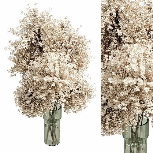 Bouquet plant dry hogweed in glass vase 46 3D model
