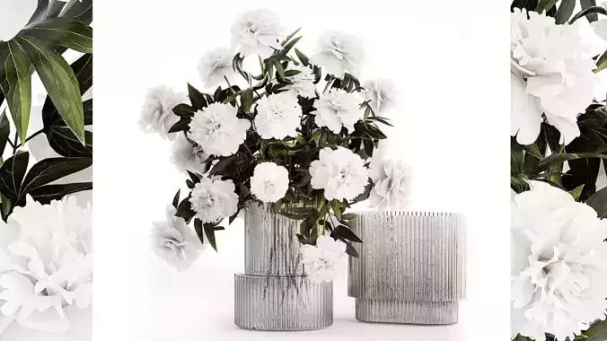 Solemn bouquet of white peony flowers in a vase 363