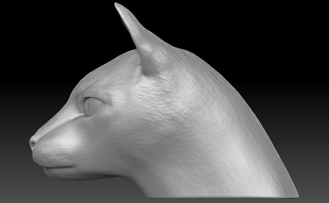 Siamese Cat head for 3D printing 3D print model_11