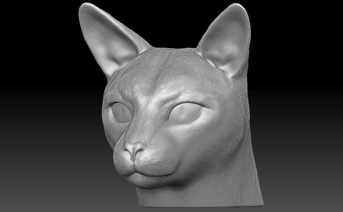 Siamese Cat head for 3D printing 3D print model_14