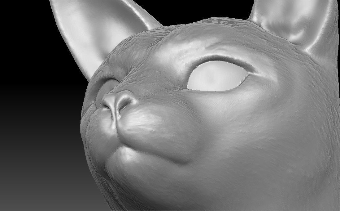 Siamese Cat head for 3D printing 3D print model_19