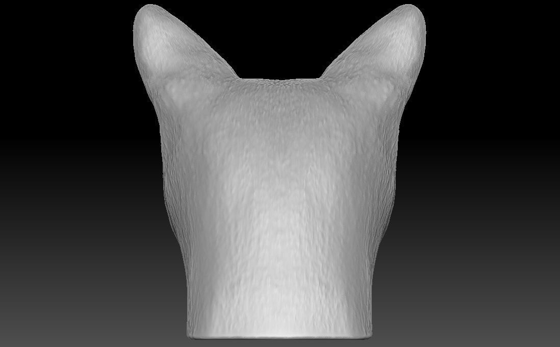 Siamese Cat head for 3D printing 3D print model_9
