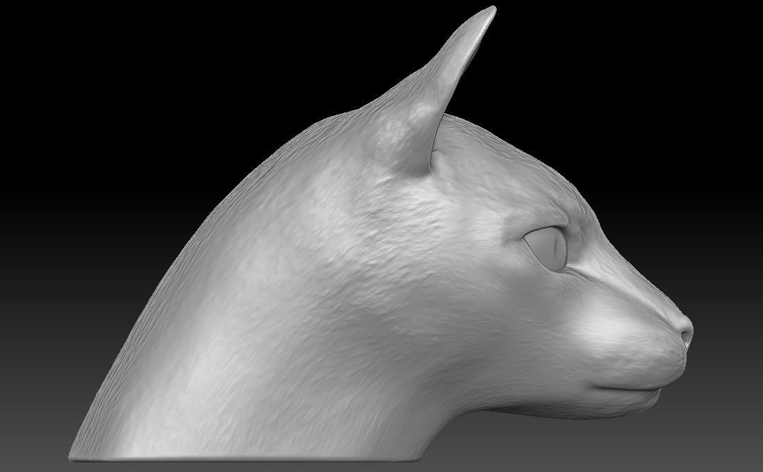 Siamese Cat head for 3D printing 3D print model_7