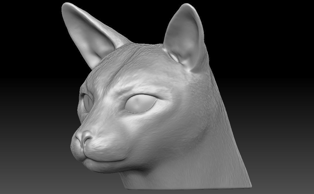 Siamese Cat head for 3D printing 3D print model_13
