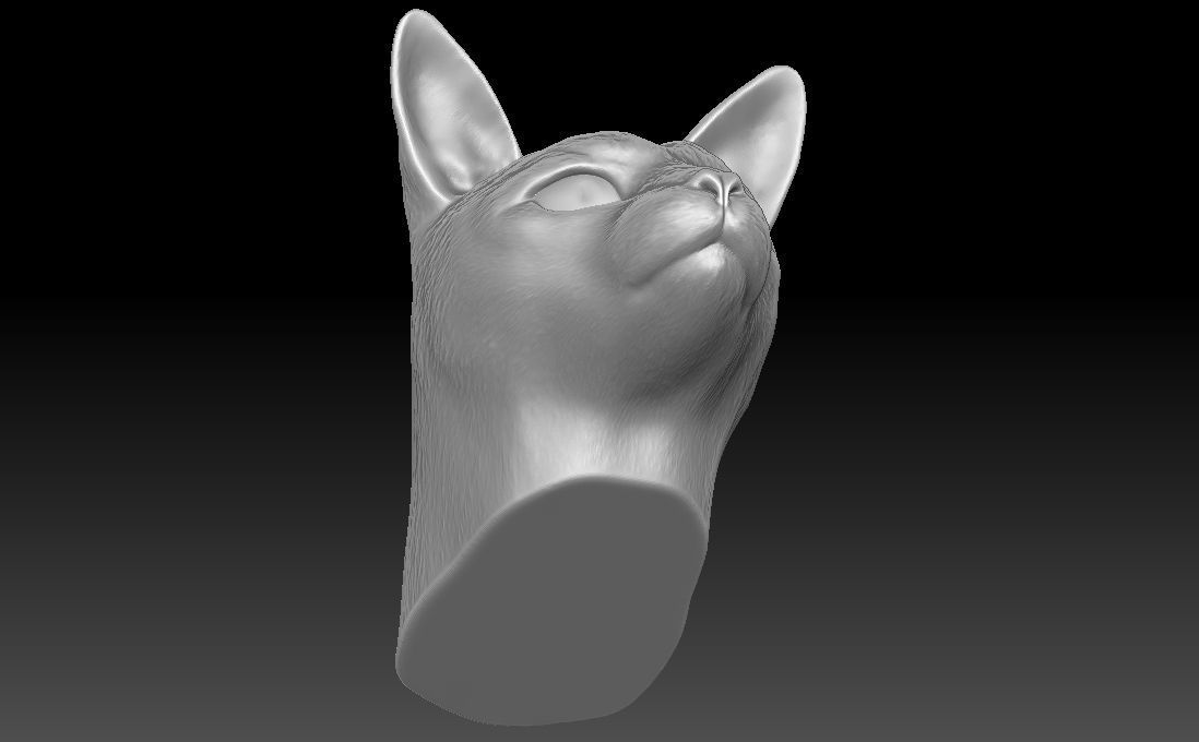 Siamese Cat head for 3D printing 3D print model_21